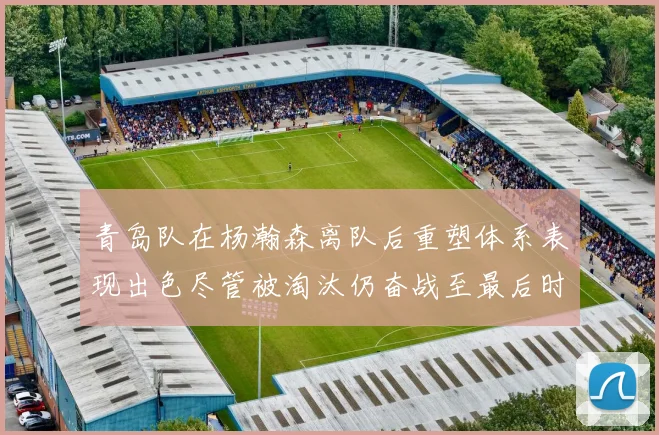 青岛队在杨瀚森离队后重塑体系表现出色尽管被淘汰仍奋战至最后时刻