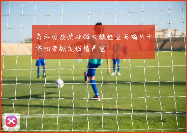 乌加特接受核磁共振检查或确认十字韧带撕裂伤情严重